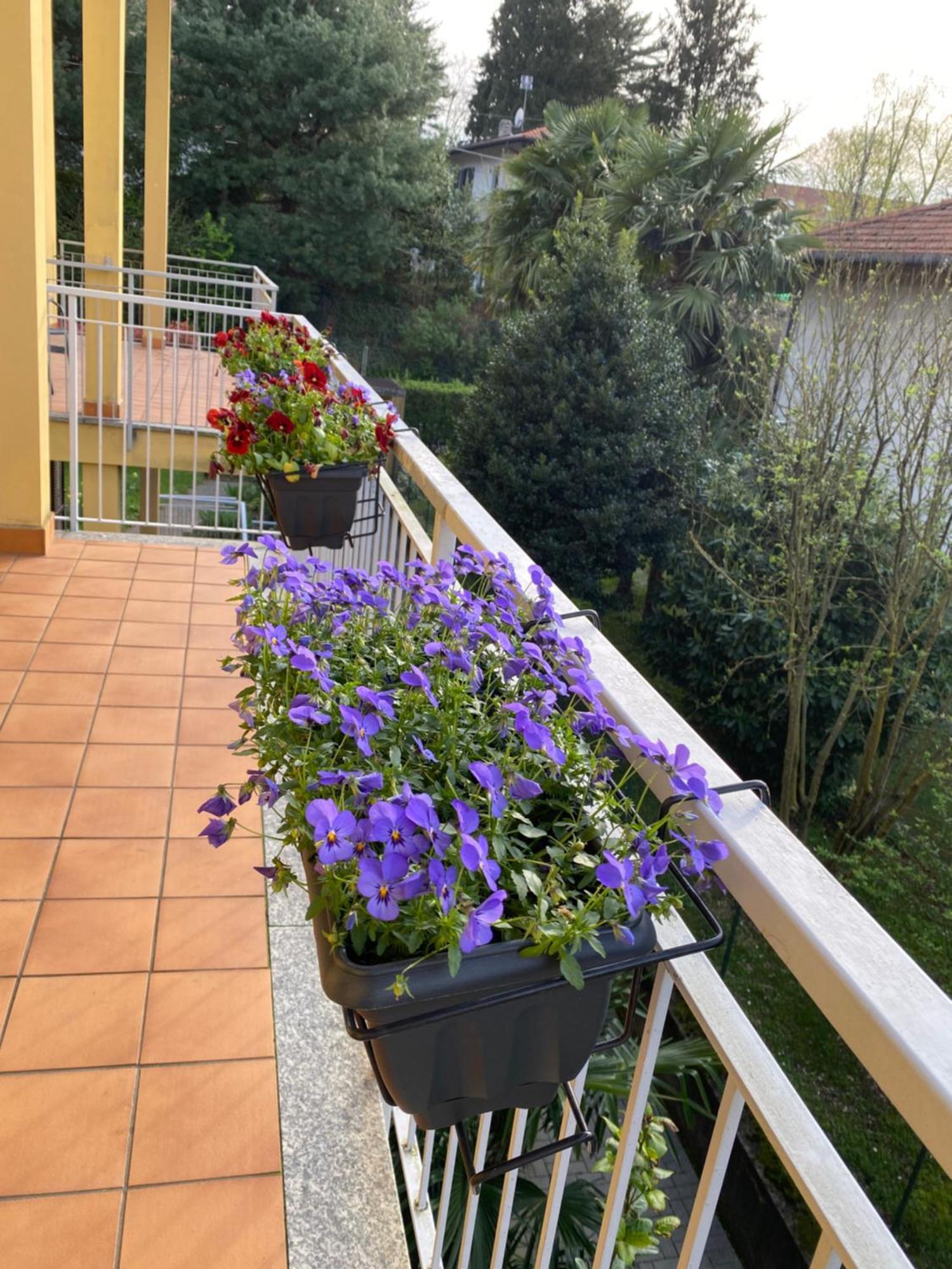 Appartamento Anna Lungo Fiume - Lago Maggiore เซสโต คาเลนดิ ภายนอก รูปภาพ