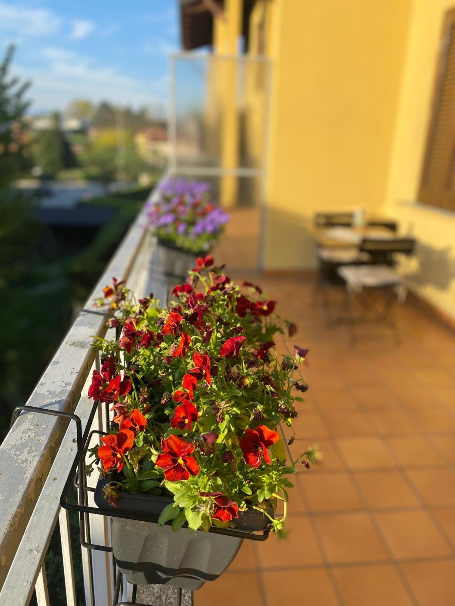 Appartamento Anna Lungo Fiume - Lago Maggiore เซสโต คาเลนดิ ภายนอก รูปภาพ